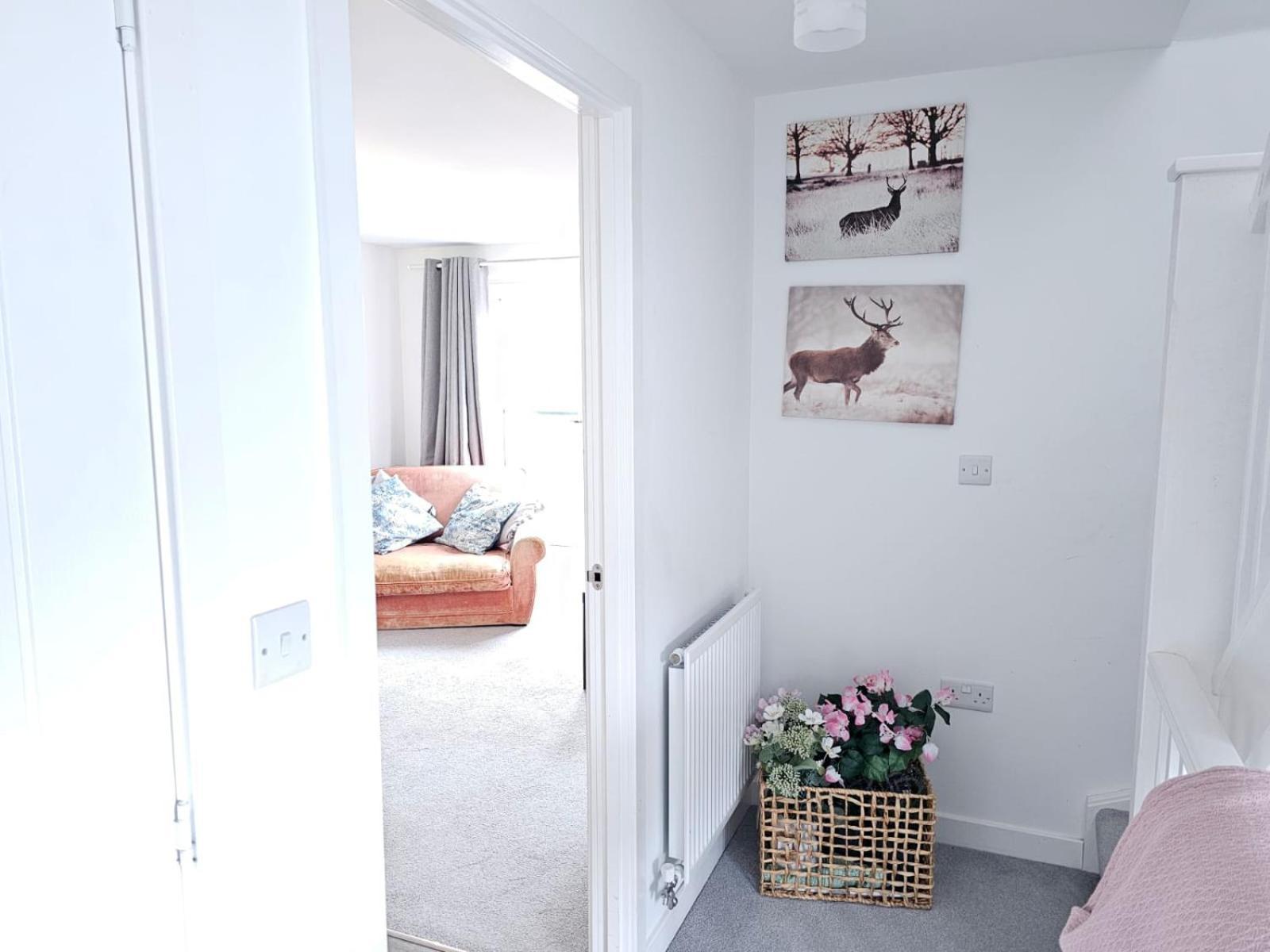 Modern 3 Bedroom Town House 입스위치 외부 사진